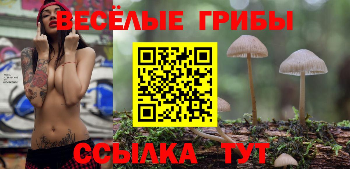 Альметьевск  Псилоцибиновые грибы ЛСД  Вход с VPN 